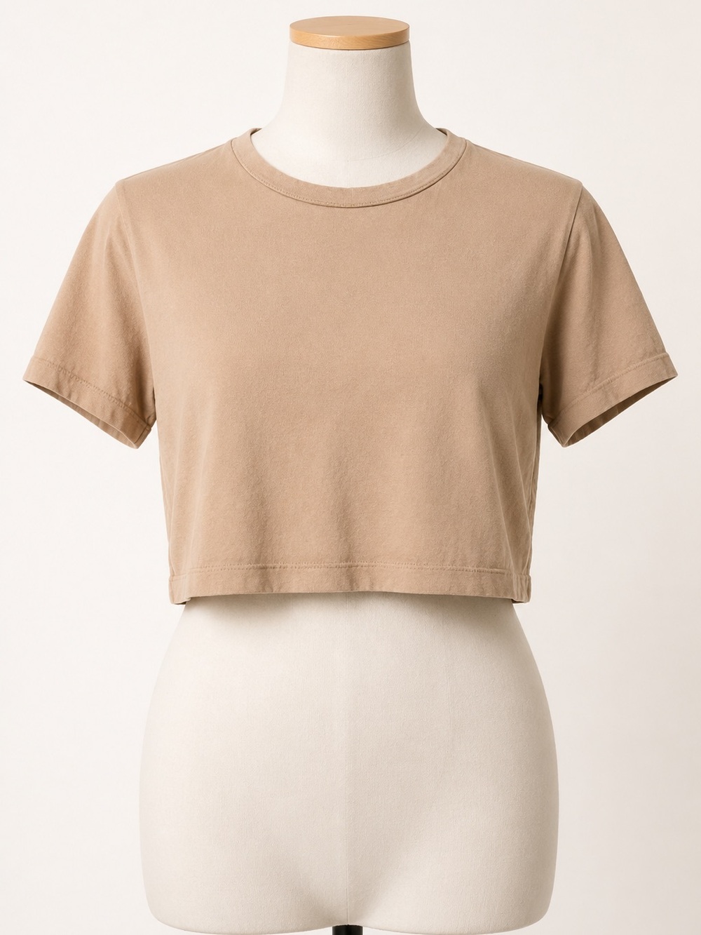 Zara Cropped Crewneck Tee - Tan